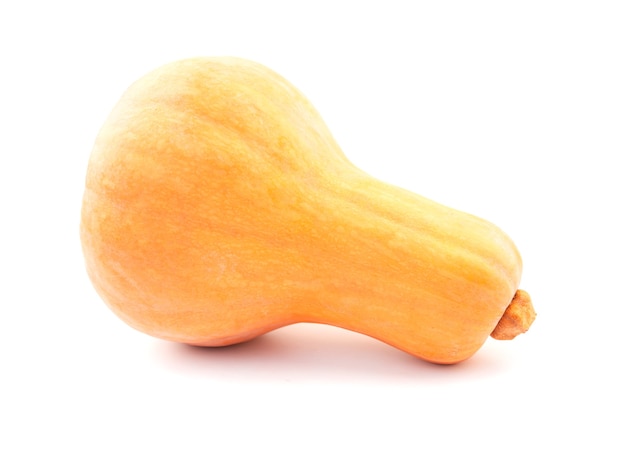 Butternut na białym tle na białym tle