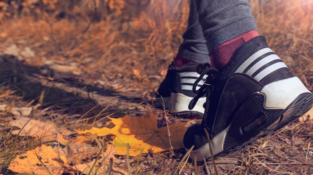 Buty Do Biegania Biegacz Kobieta Biegać W Parku Leśnym. Jogging Dziewczyna ćwiczenia Motywacji Heatlh I Fitness. Kobieta Spaceru Cross Country I Szlak W Jesiennym Lesie. Selektywne Skupienie, Tonowanie