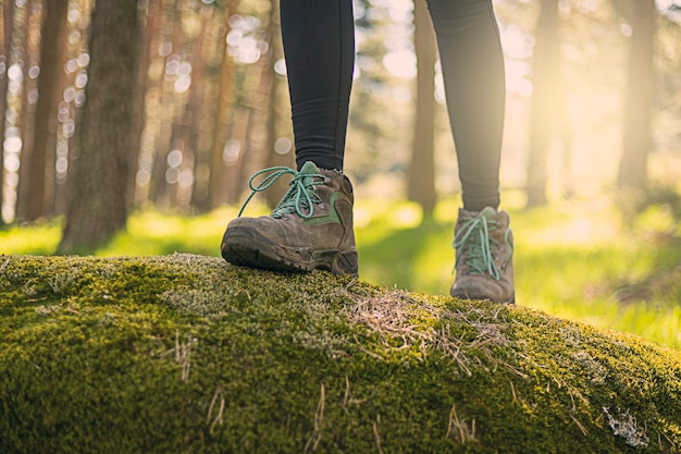 Buty z bliska spacerując po lesie w naturze