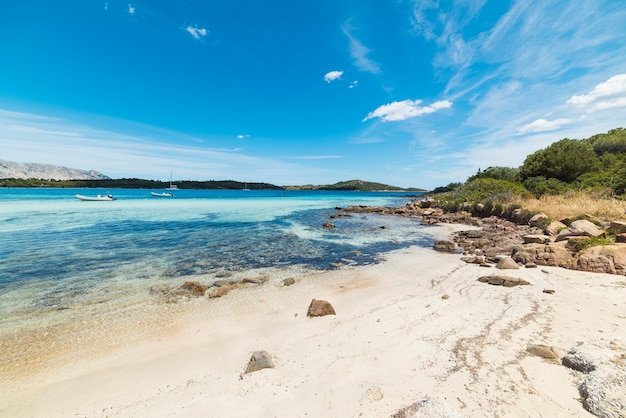 Cala Brandinchi W Upalny Letni Dzień