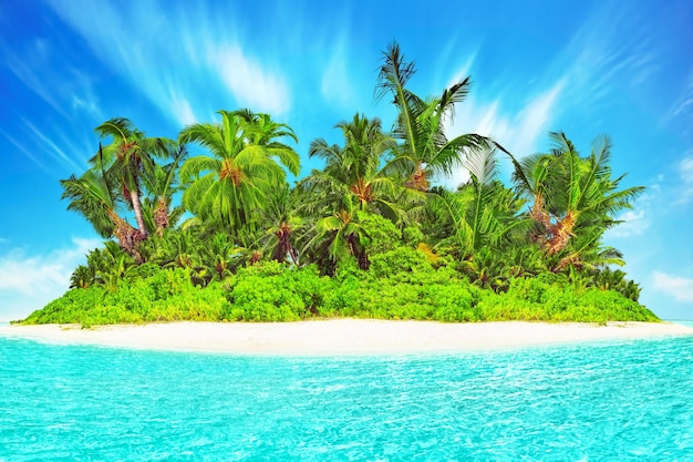 Zdjęcie cała tropikalna wyspa w atolu w tropikalnym oceanie. bezludna i dzika subtropikalna wyspa z palmami. równikowa część oceanu, tropikalny kurort na wyspie.