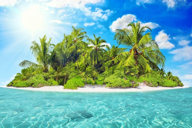 Cała tropikalna wyspa w atolu w tropikalnym oceanie w letni dzień. Bezludna i dzika subtropikalna wyspa z palmami. Równikowa część oceanu, tropikalny kurort na wyspie.