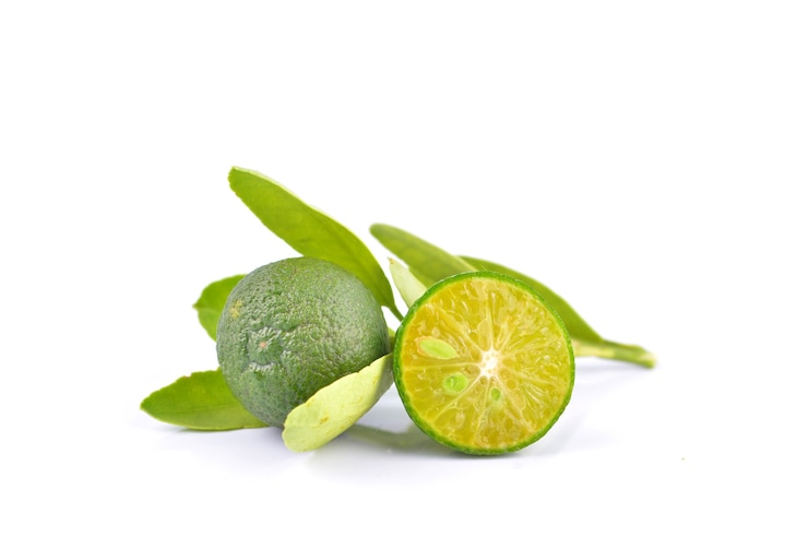 Calamansi na białym tle