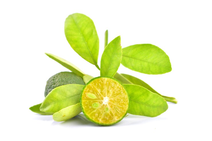 Calamansi na białym tle
