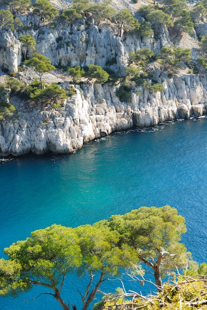 Calanque Z Cassis Niedaleko Marsylii We Francji