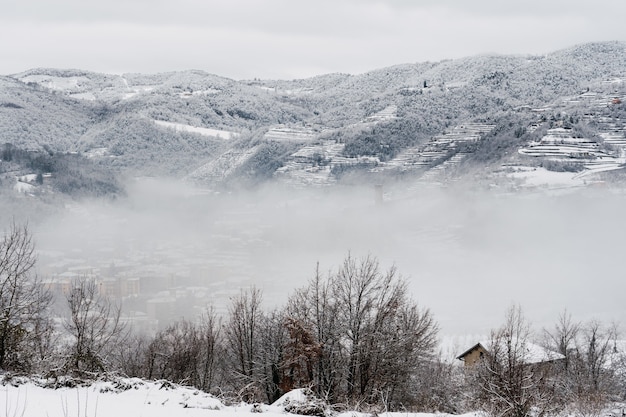 Całkowicie biały krajobraz pokryty śniegiem i mgłą w północnych Włoszech.