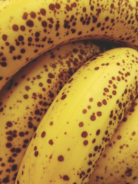 Całkowite zdjęcie bananów