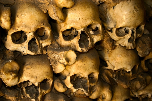Zdjęcie całkowite zdjęcie ludzkich czaszek w katakumbach