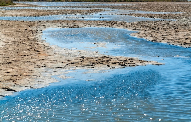 Camargue we Francji