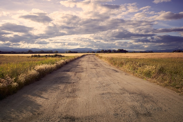 Zdjęcie camino de tierra en el campo hacia a algun lugar