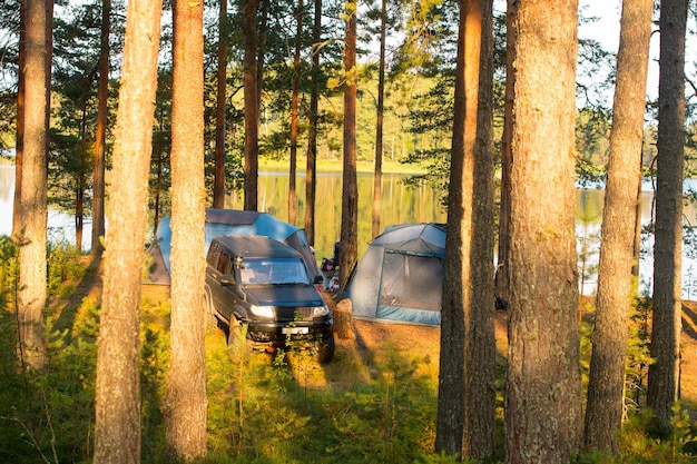 Camping W Sosnowym Lesie Z Namiotem O świcie Wakacje Turystyczne