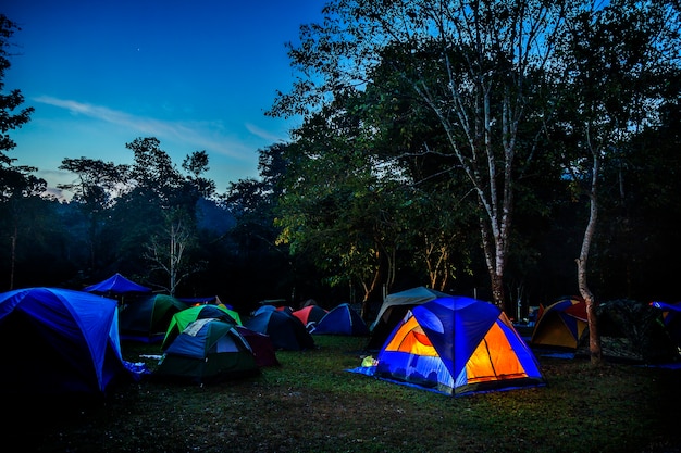 Camping z namiotem w zielonej trawie