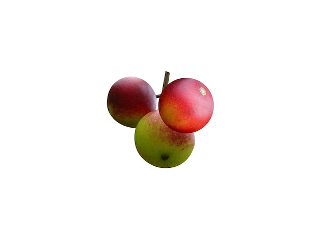 Camu camu lub Myrciaria dubia to owoce jadalne i używane w przetworzonej żywności i medycynie tradycyjnej.