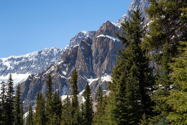 Canadian Rockies podczas tętniącego życiem, słonecznego letniego dnia