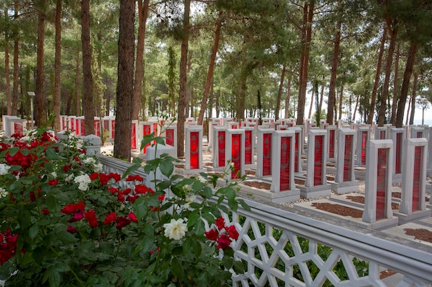 Canakkale, Turcja - 26 maja 2019 r.: Cmentarz wojskowy Canakkale Martyrs Memorial to pomnik wojenny upamiętniający służbę żołnierzy tureckich, którzy brali udział w bitwie pod Gallipoli.