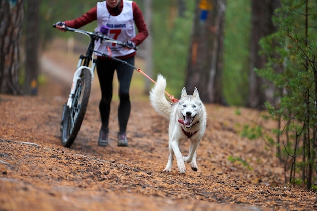 Canicross Dog Mushing Race