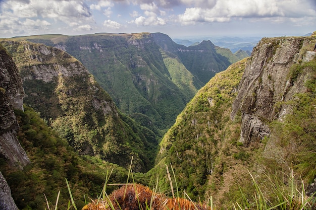 Canyon Monte Negro wiosną