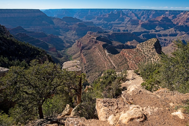 Canyon National Park Canyonlands pustynny krajobraz obszar kanionu pustynia w Nevadzie