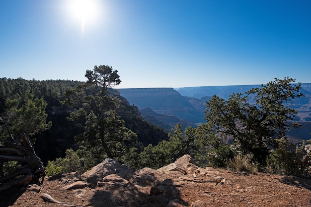 Canyonlands pustynny krajobraz kanionu park narodowy tapeta