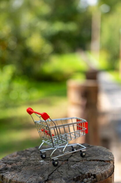 Zdjęcie carrito de compras con fondo de naturaleza desenfocado