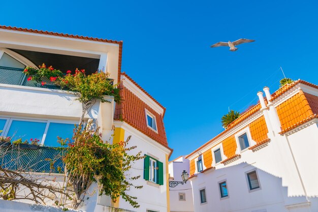 Cascais Portugalia Tradycyjna architektura z kwitnącymi kwiatami na tle niebieskiego nieba