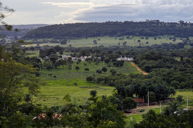 Cassilandia, Mato Grosso Do Sul, Brazylia - 01 26 2021: Panorama Cmentarza Miejskiego Cassilandia Po Południu