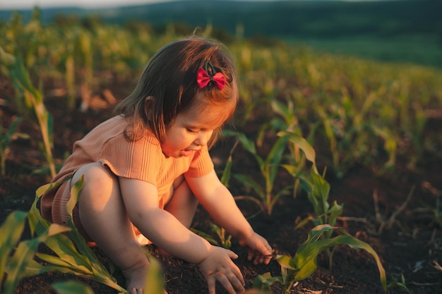 Caucasian baby girl gry z roślin kukurydzy siedzi w polu kukurydzy o zachodzie słońca Sezon letni Piękna młoda dziewczyna Szczęśliwe rodzinne dzieciństwo Środowisko kraju