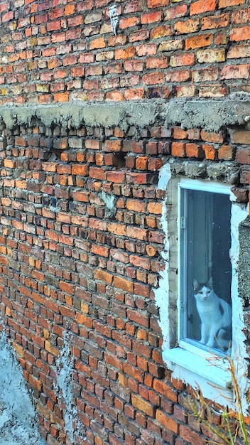 Zdjęcie ceglana ściana starego budynku