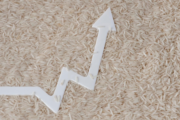 Cena ryżu wzrost cen upraw rolnych niedobór żywności światowy wykres kryzysu żywnościowego pointi