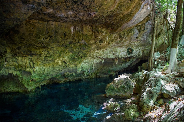 Cenote Dos Ojos z czystą, błękitną wodą