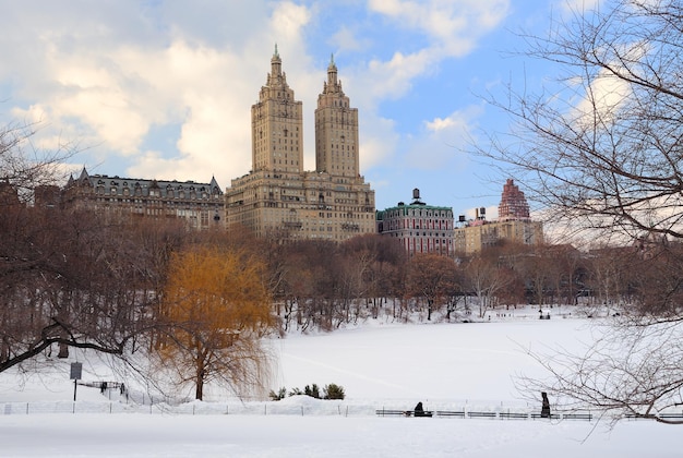 Central Park W Nowym Jorku Na Manhattanie Zimą