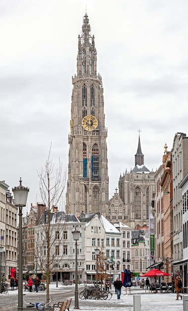Centrum miasta Antwerpii z katedrą Matki Bożej w tle Belgia