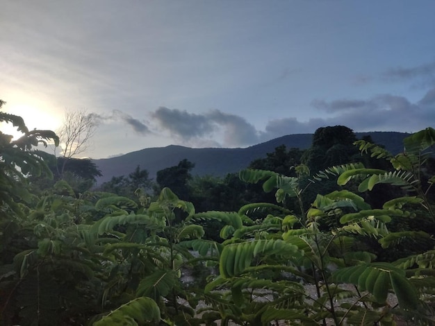 Cerro de Huatulco