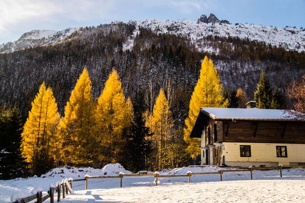 Chamonixhaute savoiefrancja