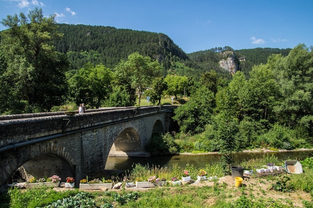 Zdjęcie chanac in lozere we francji