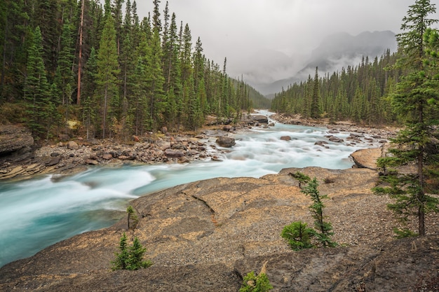 Charakterystyczny zakrzywiony kanion Mistaya Rzeka Mistaya Park Narodowy Banff AlbertaKanada