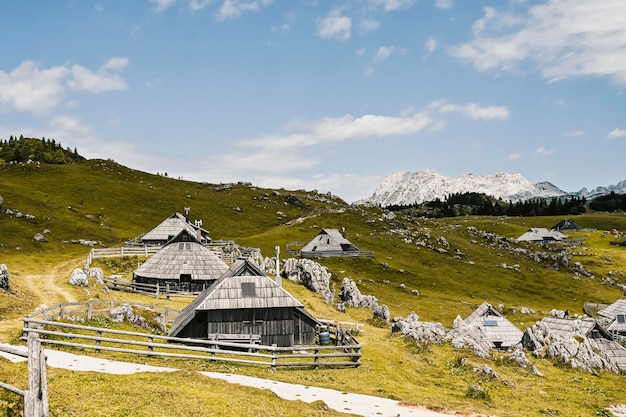 Chata górska lub dom na wzgórzu Velika Planina alpejski krajobraz łąki Rolnictwo ekologiczne Cel podróży dla rodzinnych wędrówek Alpy Kamnickie Słowenia Wielki Płaskowyż