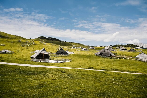 Chata górska lub dom na wzgórzu Velika Planina alpejski krajobraz łąki Rolnictwo ekologiczne Cel podróży dla rodzinnych wędrówek Alpy Kamnickie Słowenia Wielki Płaskowyż