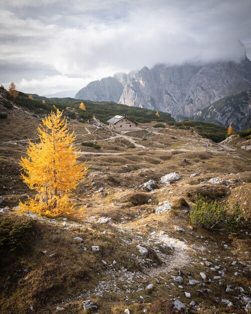 Zdjęcie chata górska w alpejskiej dolinie otoczona złotymi larczami dolomitami włochy strzał pionowy