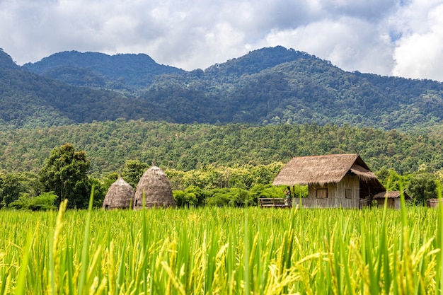 Chata Srtawa Na Polu Ryżowym Nad Jeziorem Huai Thung Tao W Chiang Mai W Tajlandii Otoczona Pięknymi Górami I Chmurami Natury