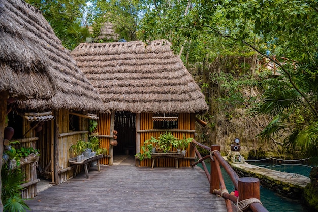 Chata w lesie tropikalnej dżungli Playa del Carmen Riviera Maya Yu atan Meksyk