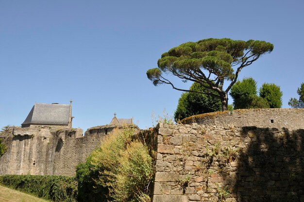 Chateau de Clisson we Francji