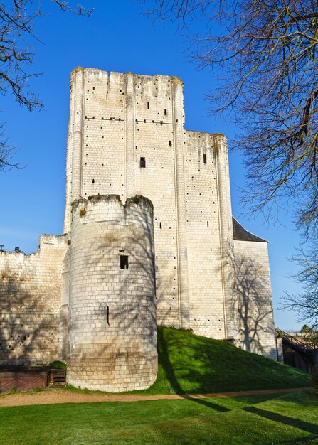 Chateau De Loches W Dolinie Loary We Francji. Zbudowany W Ix Wieku.