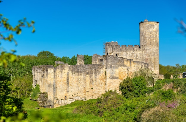 Chateau de Rauzan, średniowieczny zamek w departamencie Gironde we Francji