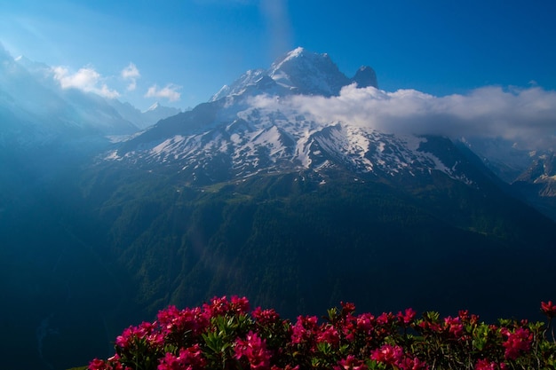 Cheserysargentierechamonixhaute savoiefrance