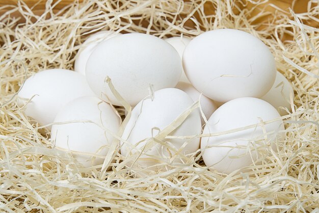 Chiken białych jajek zamknięty up.