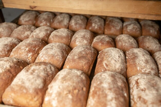 Chleb piekarnia produkcja fabryki żywności ze świeżych produktów