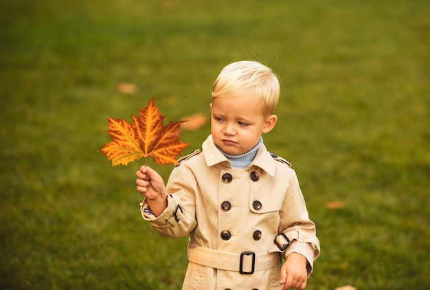 Chłopiec dziecko z jesiennymi liśćmi Cute kid gospodarstwa jesienne liście w naturze Chłopiec dziecko spaceru w au