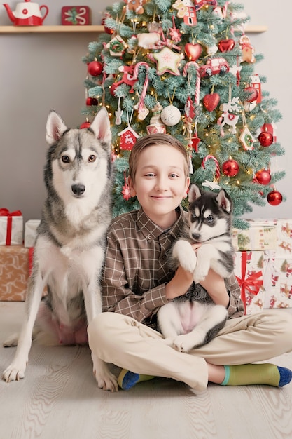 Chłopiec Dziecko Z Psami Husky Szczeniaki I Choinkę.