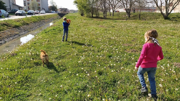 Chłopiec I Dziewczynka W Ochronnych Maskach Chirurgicznych Grają W Piłkę Na Zielonej Trawie Ochrona Przed Chorobami Przenoszonymi Drogą Powietrzną Odrodzenie życia I Nadejście Wiosny W Europie Brązowy Pies Biegnący Z Dziećmi